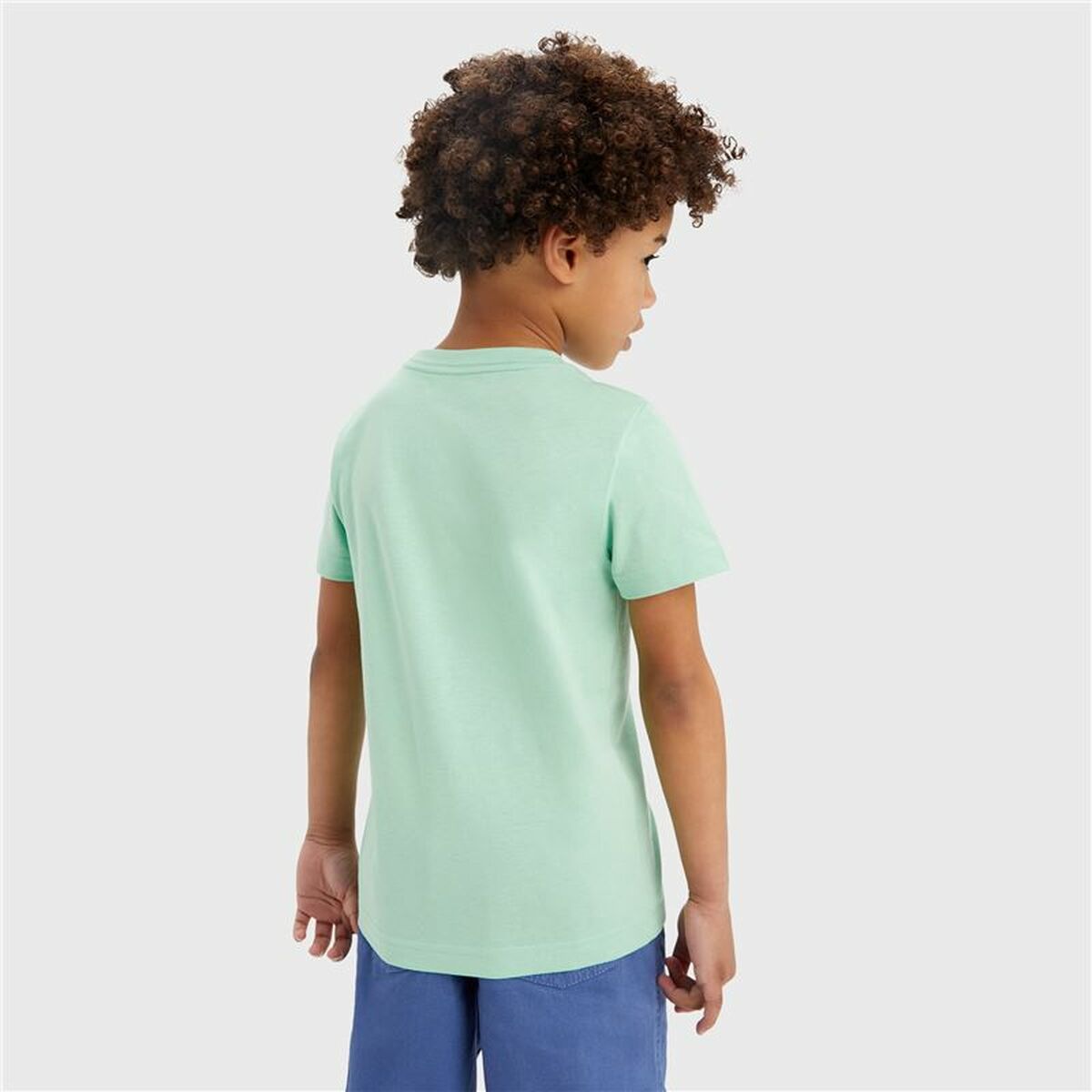 T-shirt Levi's Batwing Meadow Aquamarine T-shirt Levi's Batwing Meadow Aquamarine