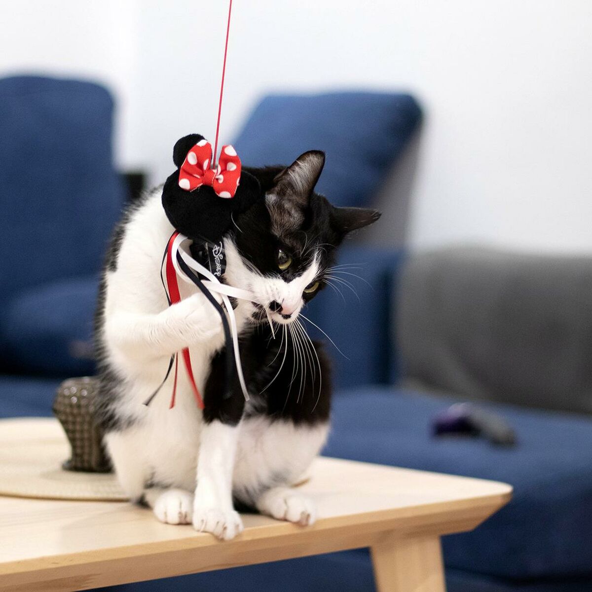 Cat toy Minnie Mouse Black