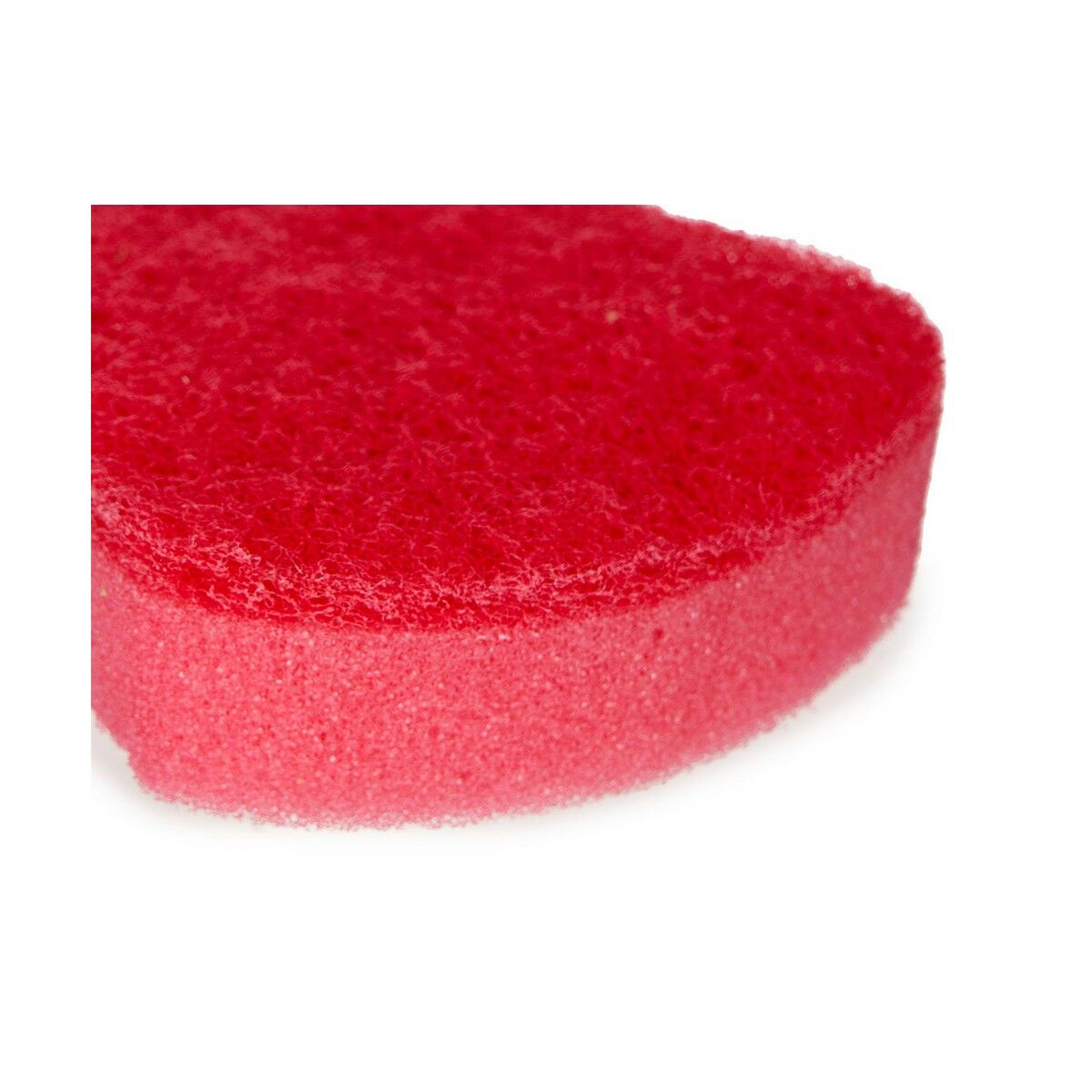 Set of scourers Multicolour Sponge Abrasive fibre (20 Units)