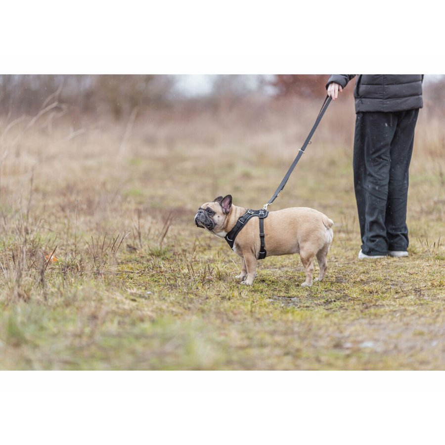 Dog Harness Trixie Premium FlexMesh Black XS/S Dog Harness Trixie Premium FlexMesh Black XS/S