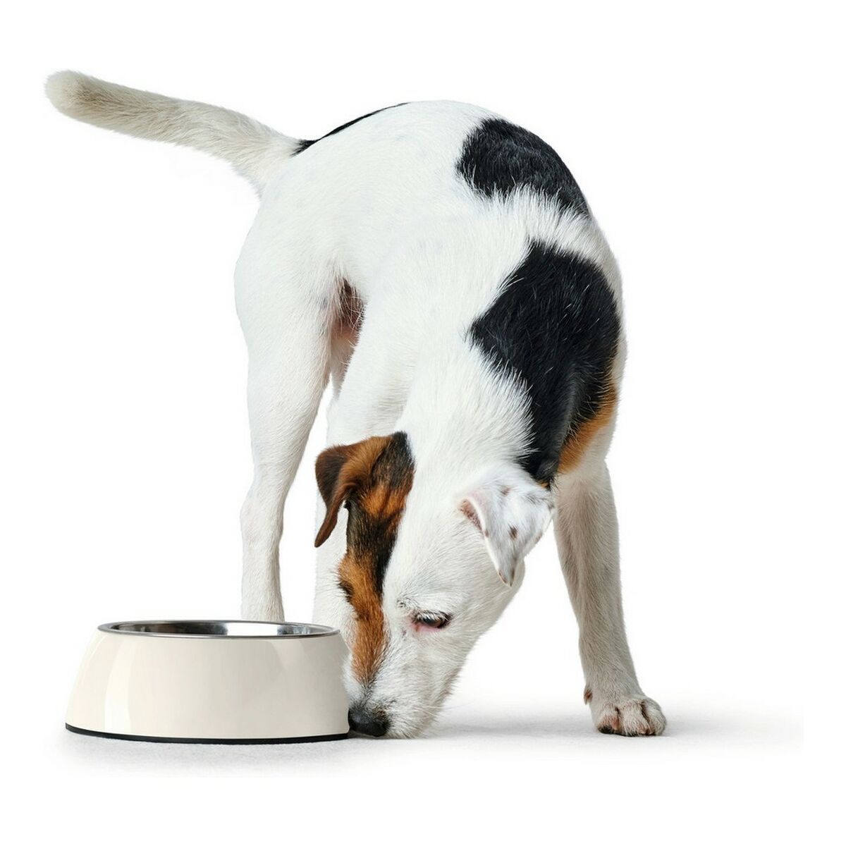 Dog Feeder Hunter Stainless steel Melamin White (18,5 x 18,5 x 9,5 cm)