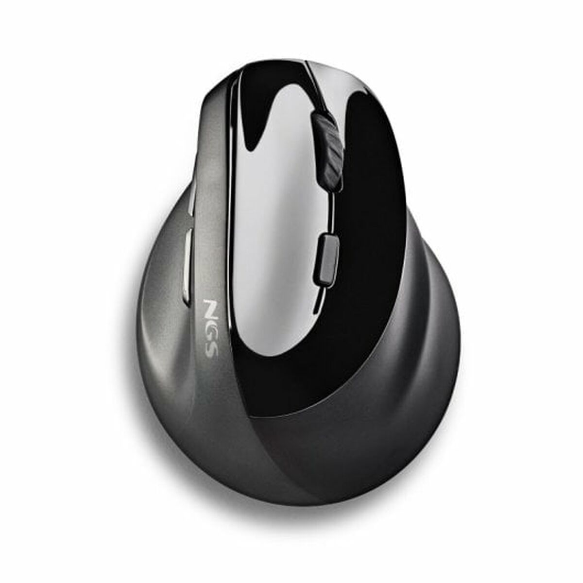 Mouse NGS