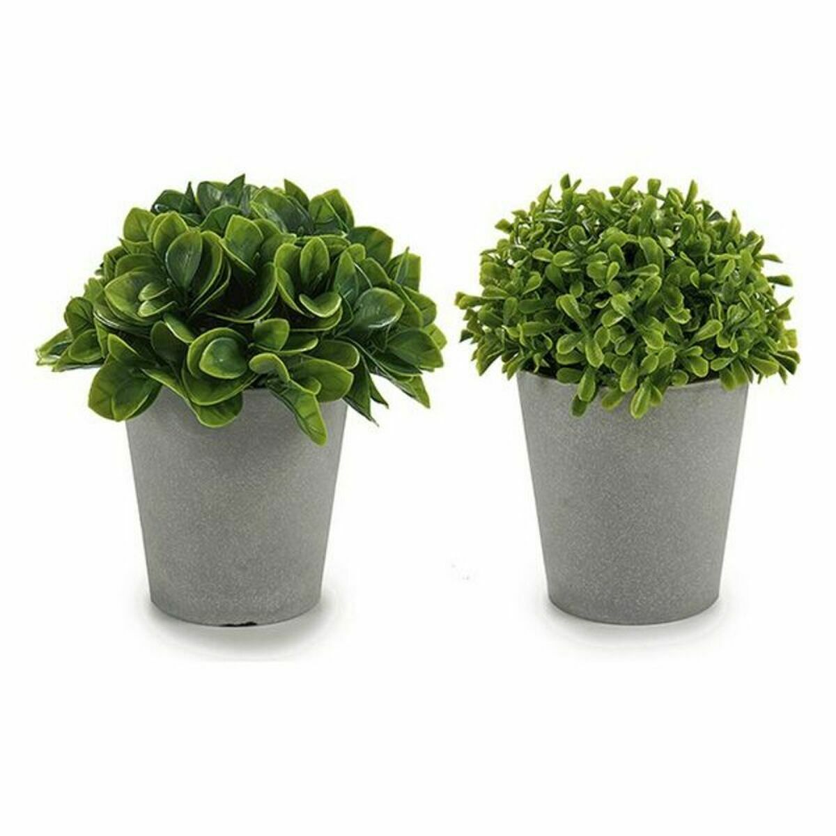 Decorative Plant Grey Green Plastic (13 x 17 x 13 cm) (12 Units)