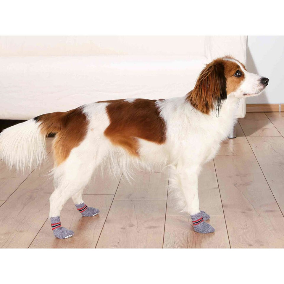 Socks Trixie Grey L Dog