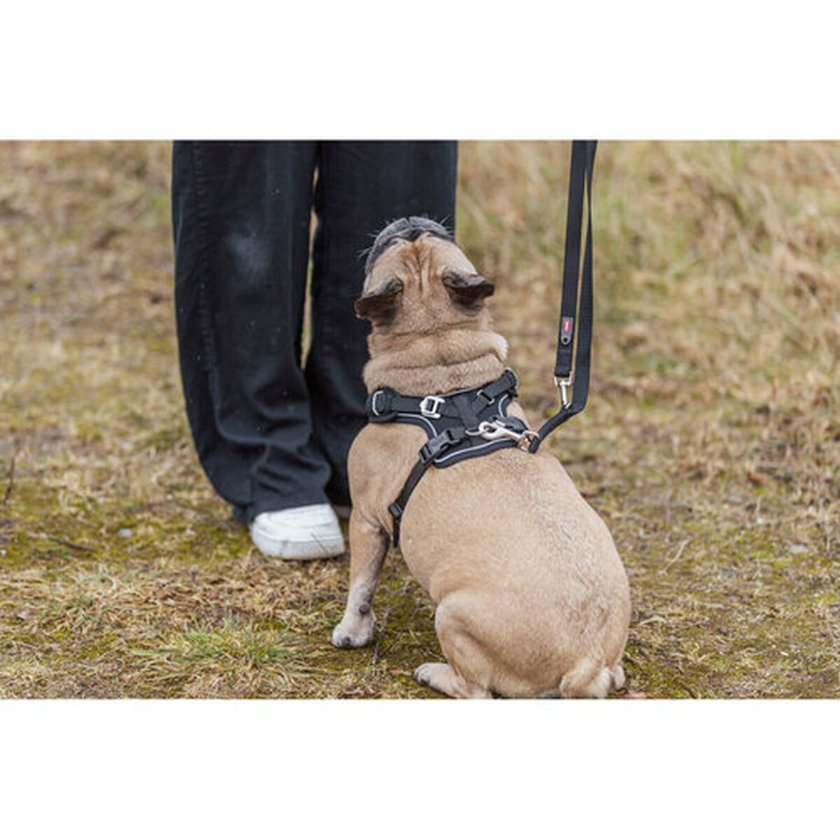 Dog Harness Trixie Premium FlexMesh Black XS/S Dog Harness Trixie Premium FlexMesh Black XS/S