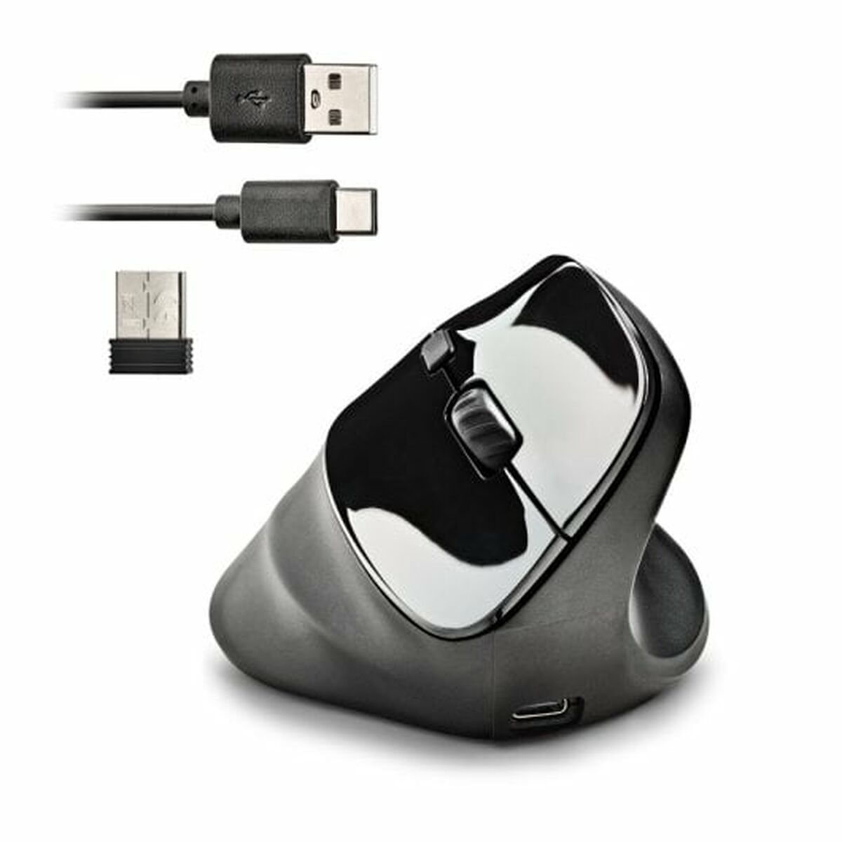 Mouse NGS Mouse NGS