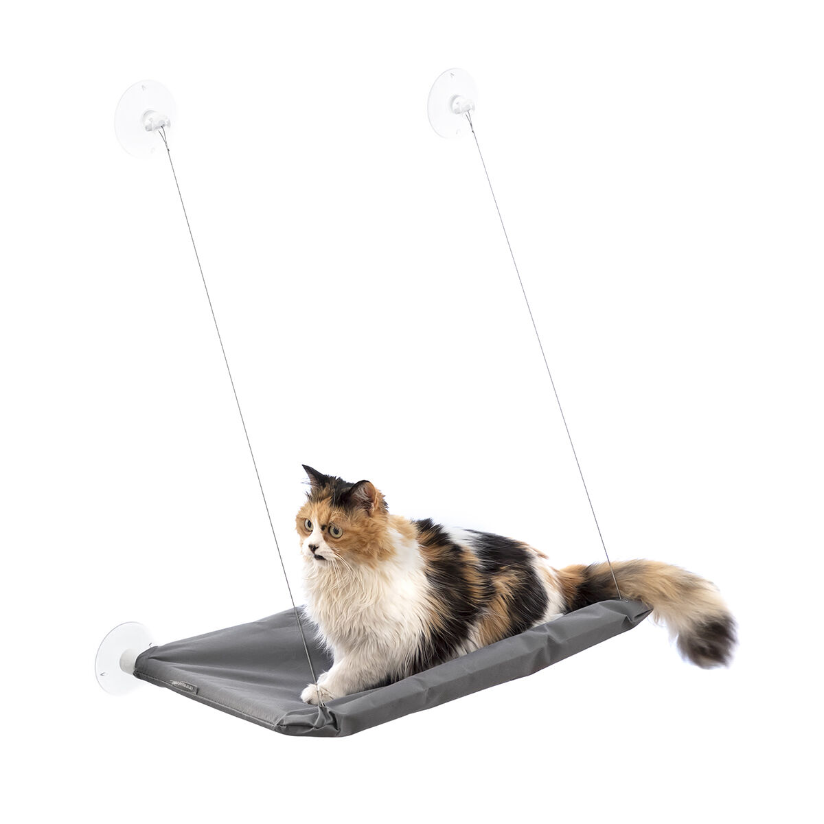 Hanging Cat Hammock Catlax InnovaGoods