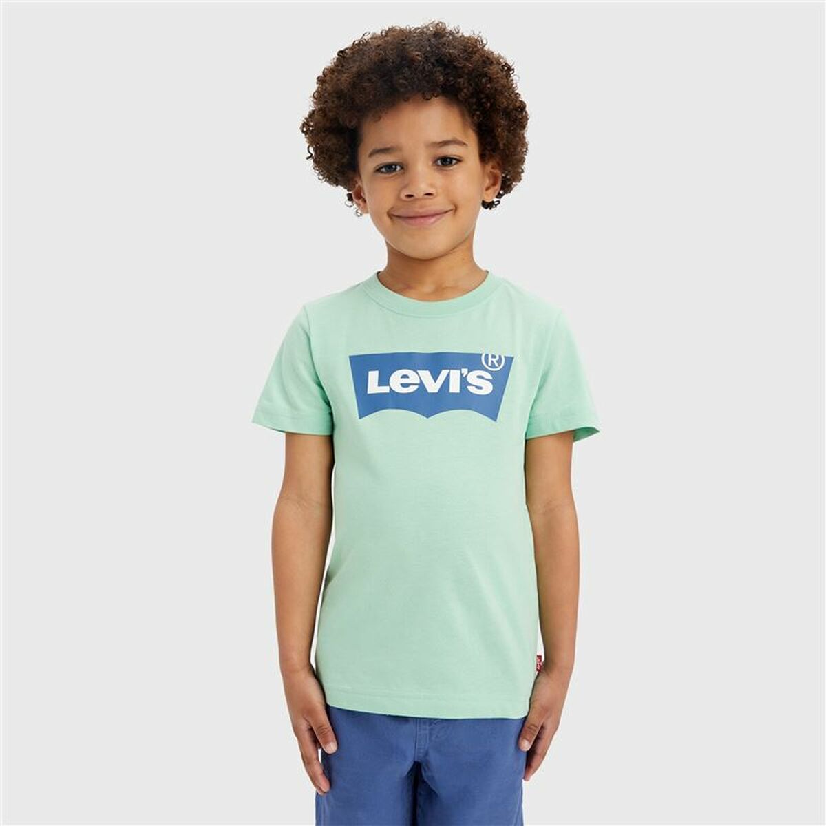 T-shirt Levi's Batwing Meadow Aquamarine T-shirt Levi's Batwing Meadow Aquamarine