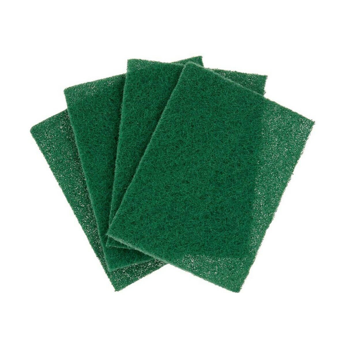 Set of scourers Green Abrasive fibre (22 Units)