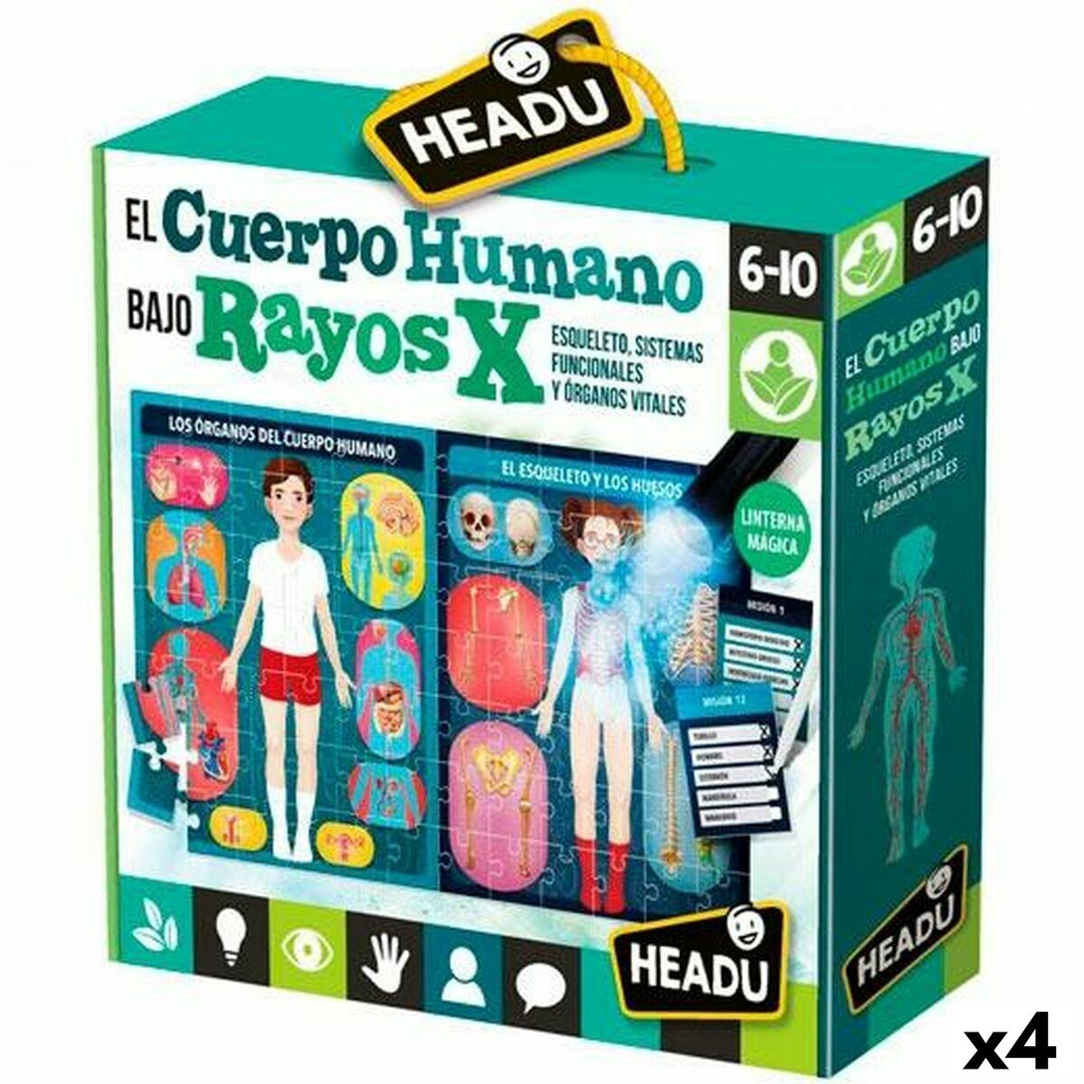Educational Baby Game HEADU El cuerpo humano Rayos X (4 Units)