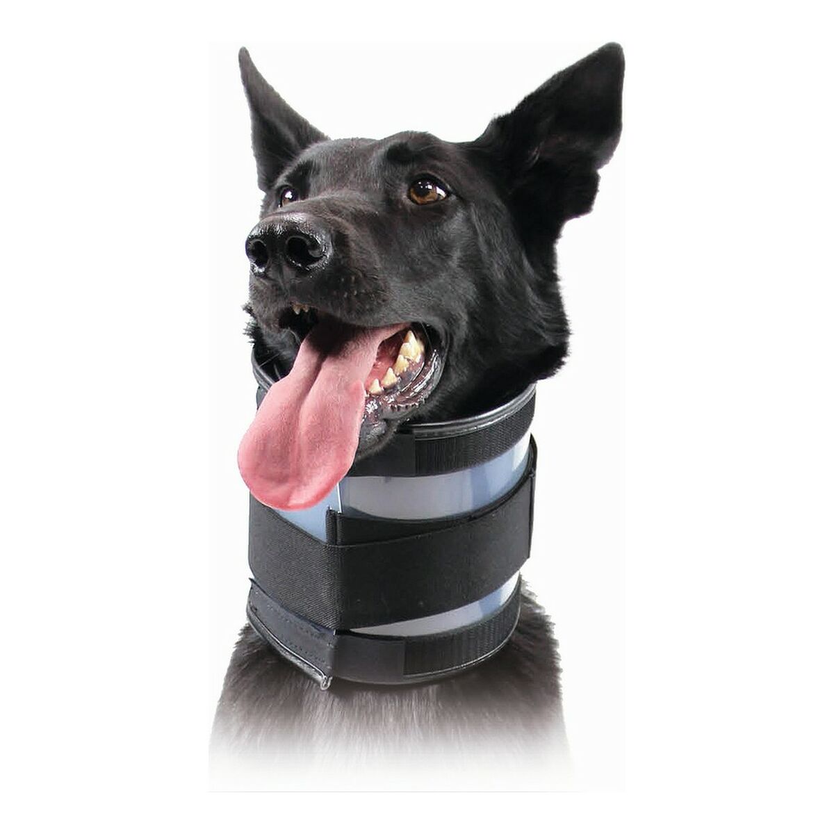 Cervical Collar for Dogs KVP Black (18-53 cm)