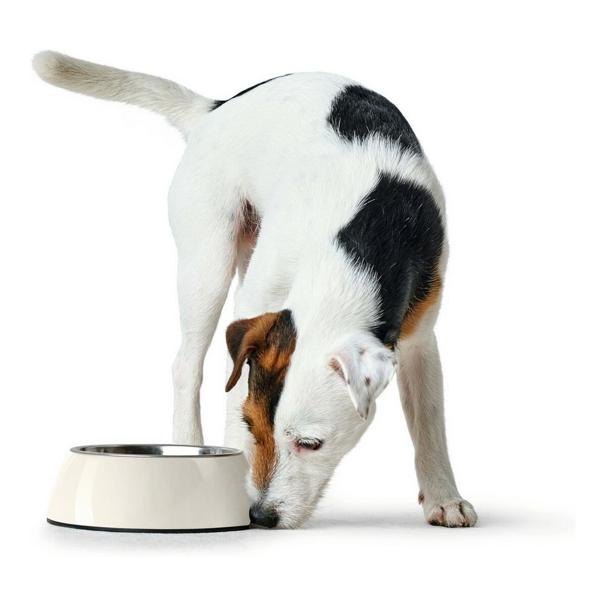 Dog Feeder Hunter Stainless steel Melamin White (14,5 x 14,5 x 7 cm)