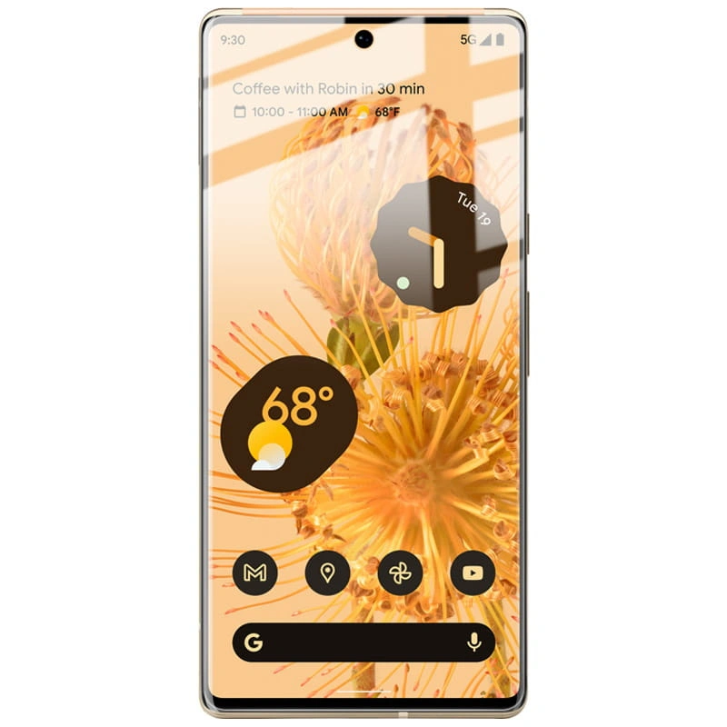 Bizon Glass Hydrogel Google Pixel 6 Pro [2 PACK]