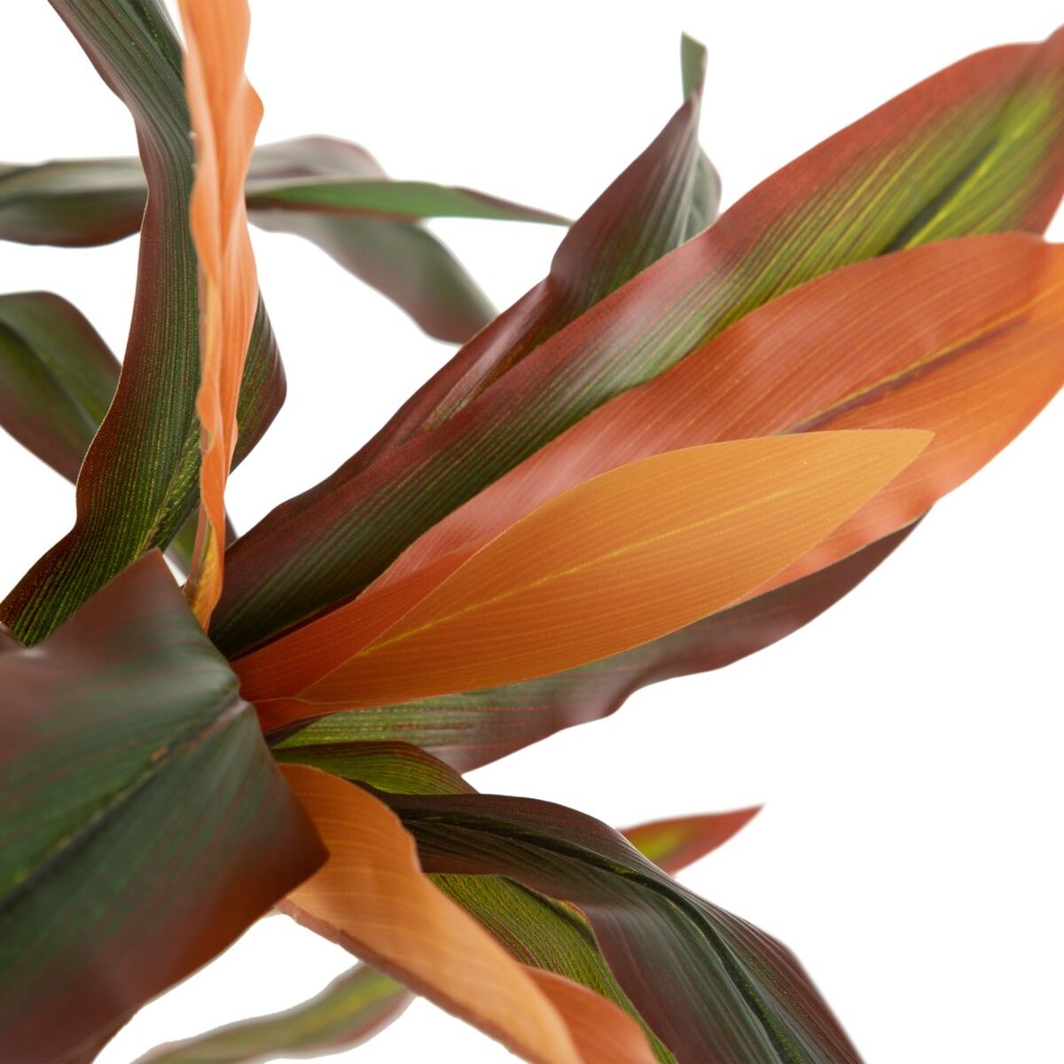 Decorative Plant Dracaena Brown Green PVC 140 cm