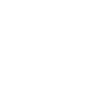 icons8-lkw-100