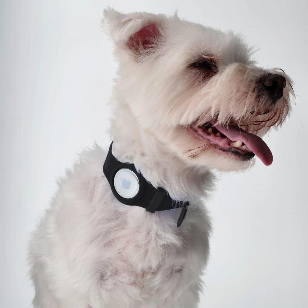 Bizon Case Locator Pets Apple AirTag black