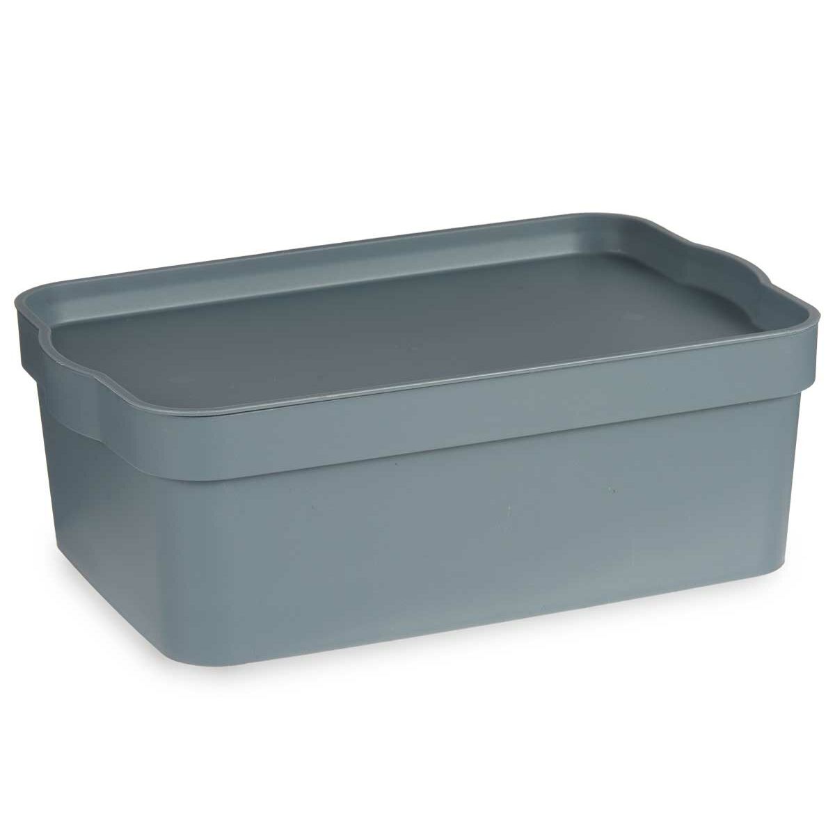 Schowek z pokrywką Szary Plastikowy 6 L (21,5 x 11 x 32 cm) (12 Sztuk)