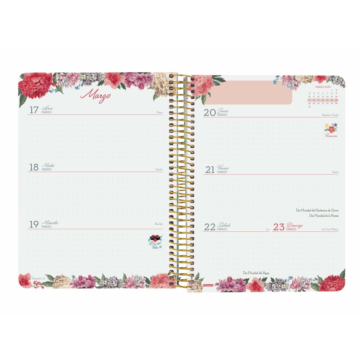 Diary Finocam Cloe Black A5 2024-2025