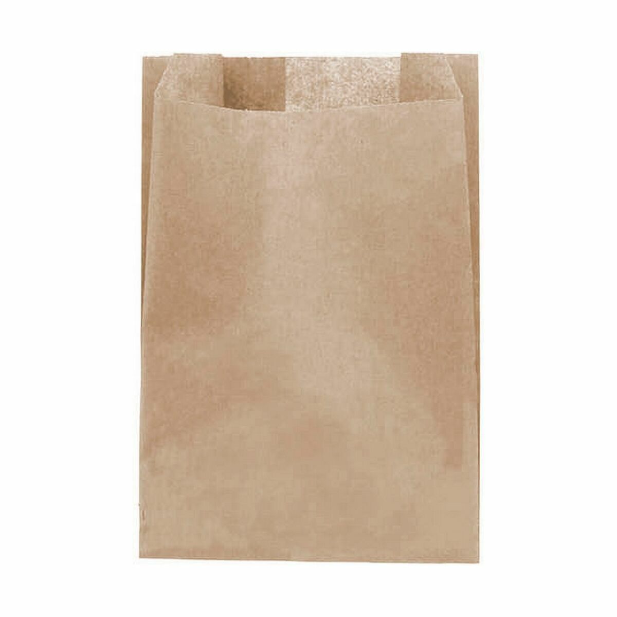 Set of Bags Algon Disposable kraft paper 20 Pieces 16 x 24 cm (24 Units)