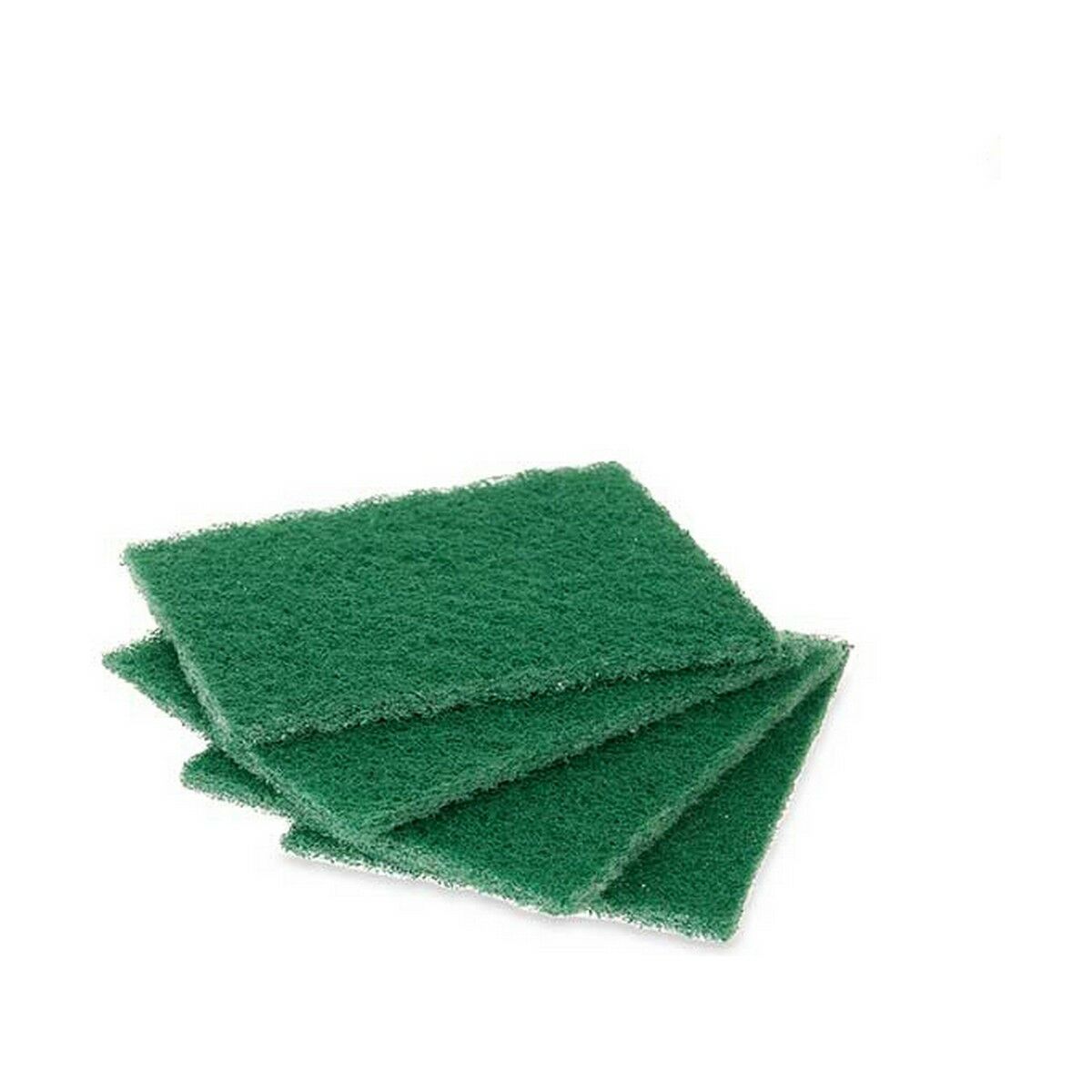 Set of scourers Green Abrasive fibre (22 Units)