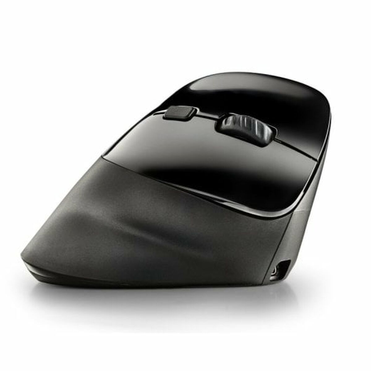 Mouse NGS Mouse NGS