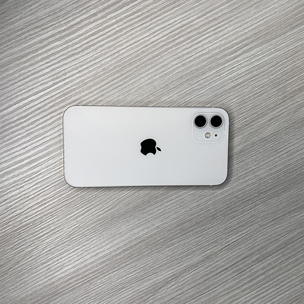GrizzGlass SatinSkin Apple iPhone 13 Mini