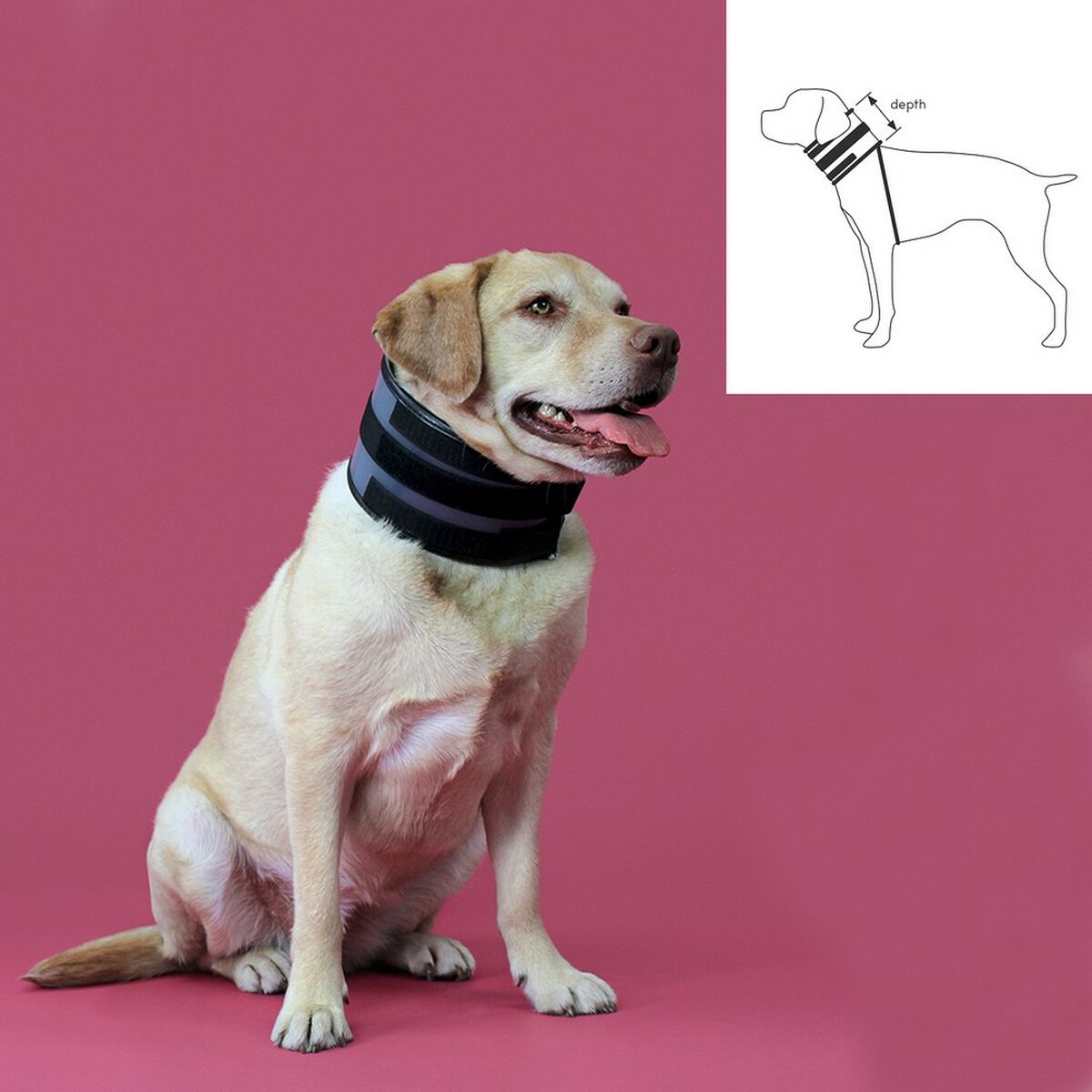 Cervical Collar for Dogs KVP Black (9-36 cm)