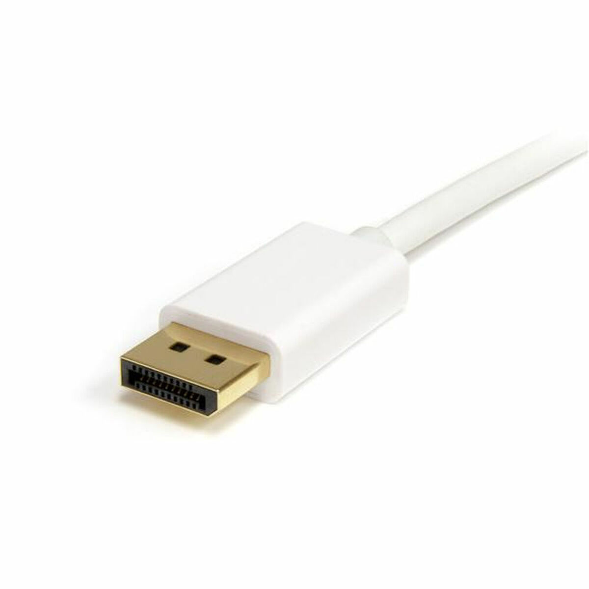 Kabel DisplayPort Mini do DisplayPort Startech MDP2DPMM2MW          (2 m) Biały 4K Ultra HD