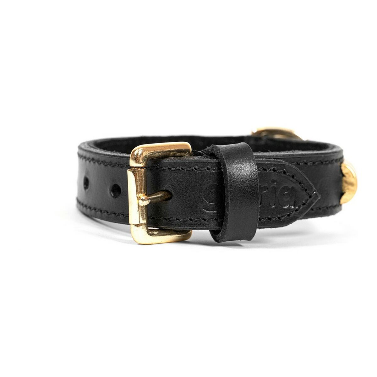 Hundehalsband Gloria Duna Schwarz Gold 60 cm (60 x 2.5 cm)