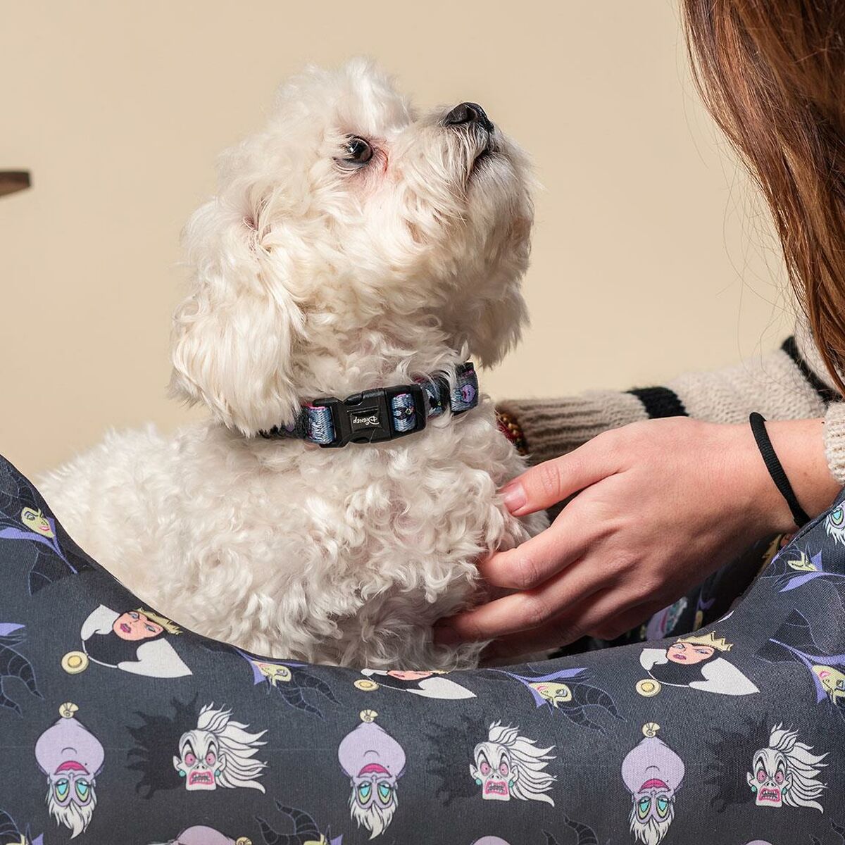 Dog collar Disney Villains