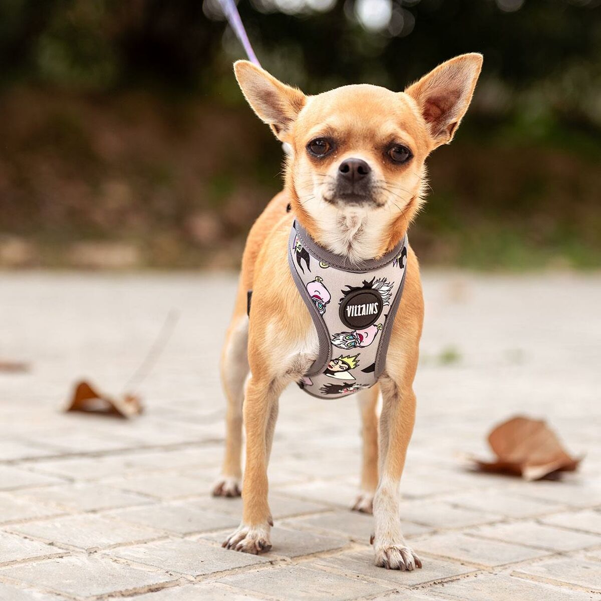 Dog Harness Disney XXS/XS Grey Dog Harness Disney XXS/XS Grey