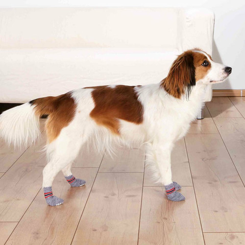 Socks Trixie Grey L Dog