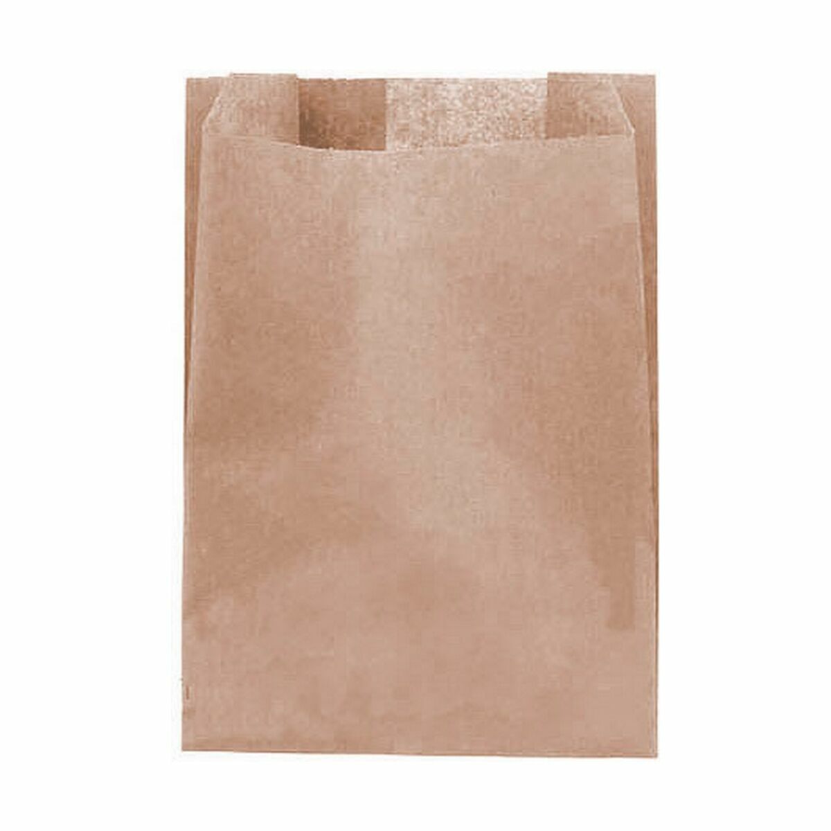 Set of Bags Algon Disposable kraft paper 25 Pieces 13 x 18 cm (36 Units)