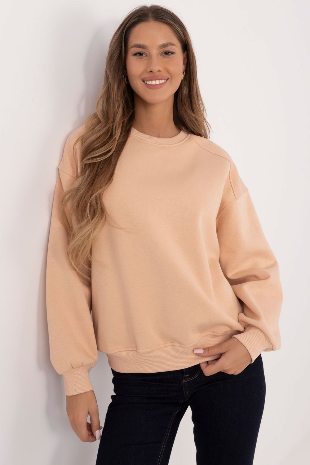  Sweatshirt model 204416 Factory Price  brown