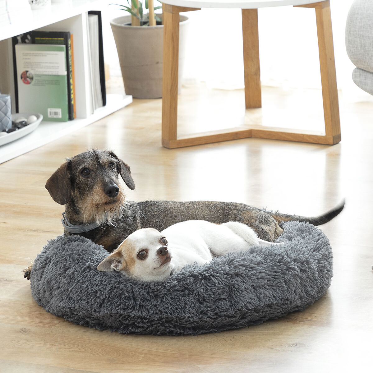 Anti-stress Pet Bed Bepess InnovaGoods Ø 60 cm