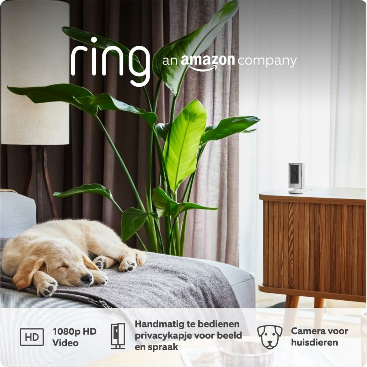 Surveillance Camcorder Amazon B0B6GKHS2S