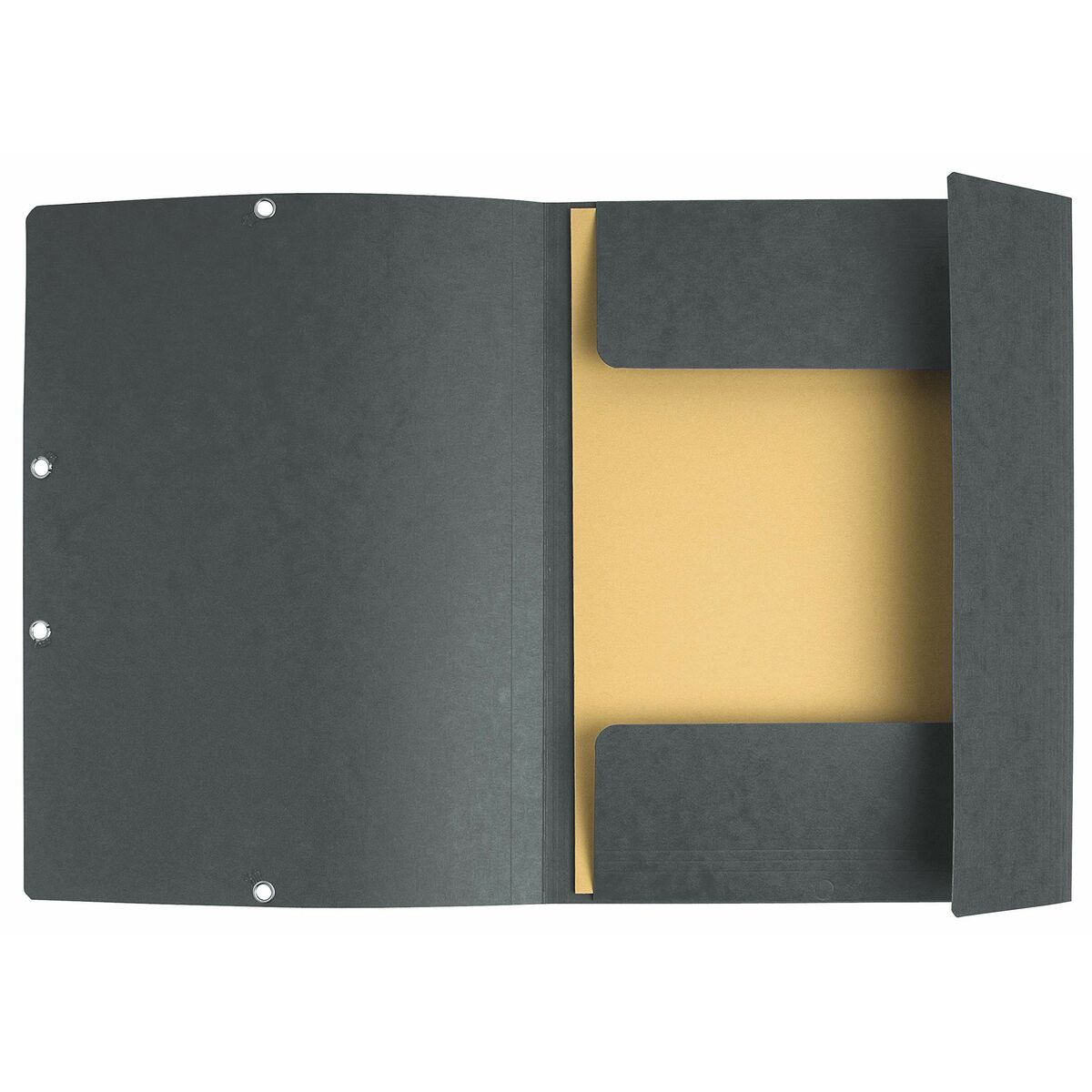 Folder Exacompta Grey A4 (10Units)