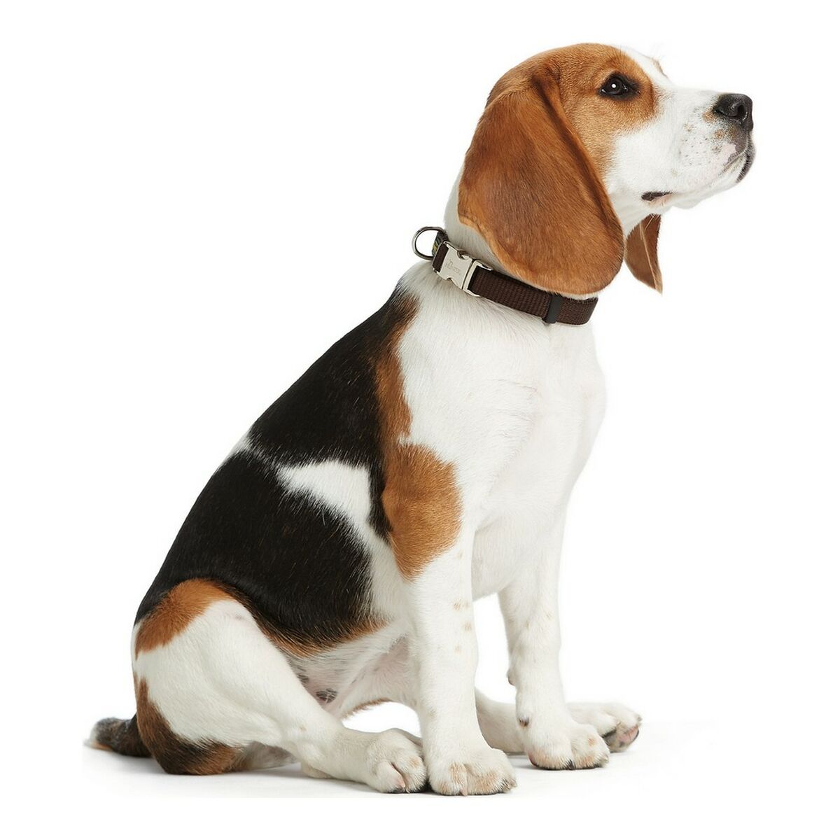 Dog collar Hunter Alu-Strong Grey Size M (40-55 cm)