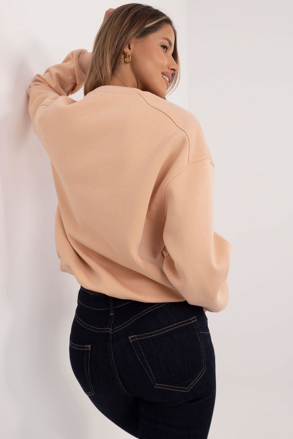  Sweatshirt model 204416 Factory Price  brown