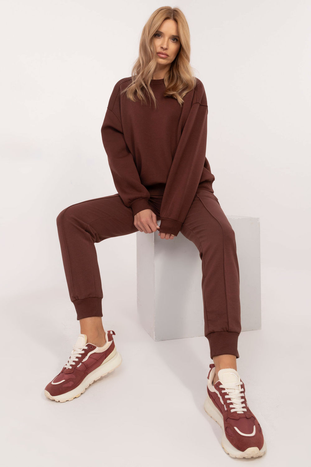  Sweatshirt model 204415 Factory Price  brown