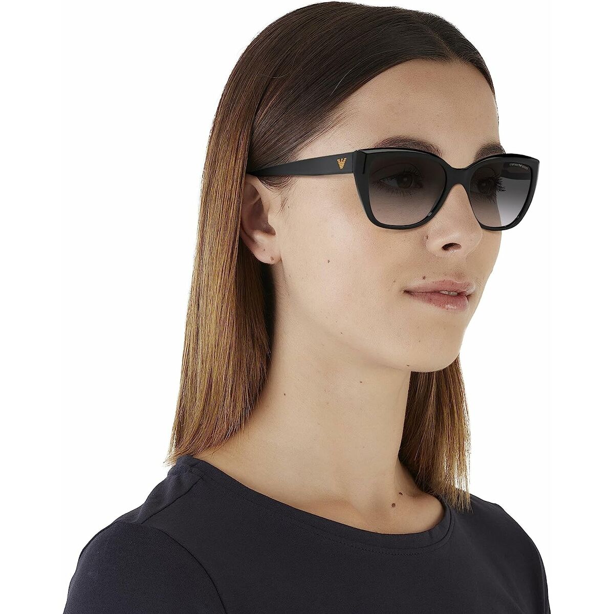 Ladies' Sunglasses Armani EA 4198