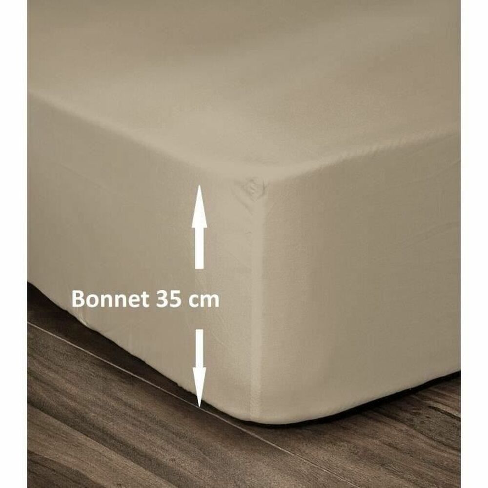 Fitted bottom sheet Lovely Home Beige 180 x 200