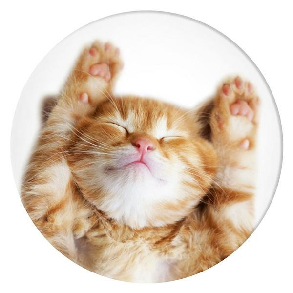 POPSOCKETS 2 Snoozy Cat phone holder
