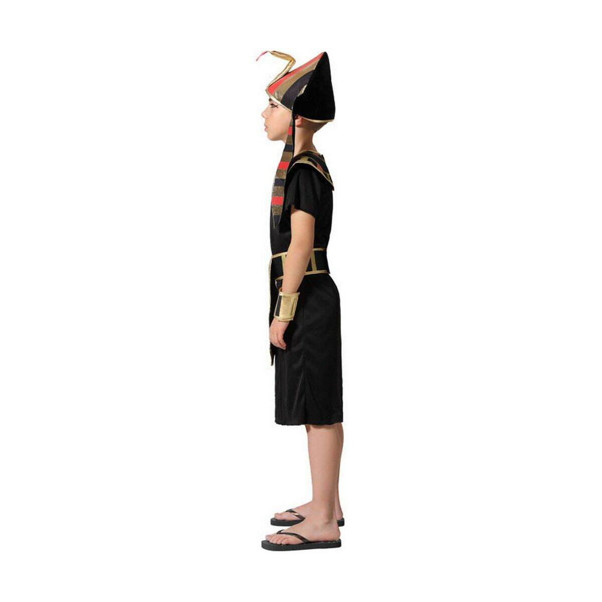 Costume Egyptian King Multicolour
