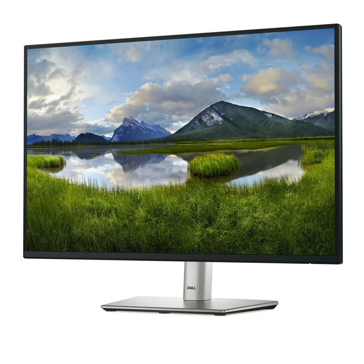 Monitor Dell P2425 24,1" HD WUXGA 100 Hz Monitor Dell P2425 24,1" HD WUXGA 100 Hz
