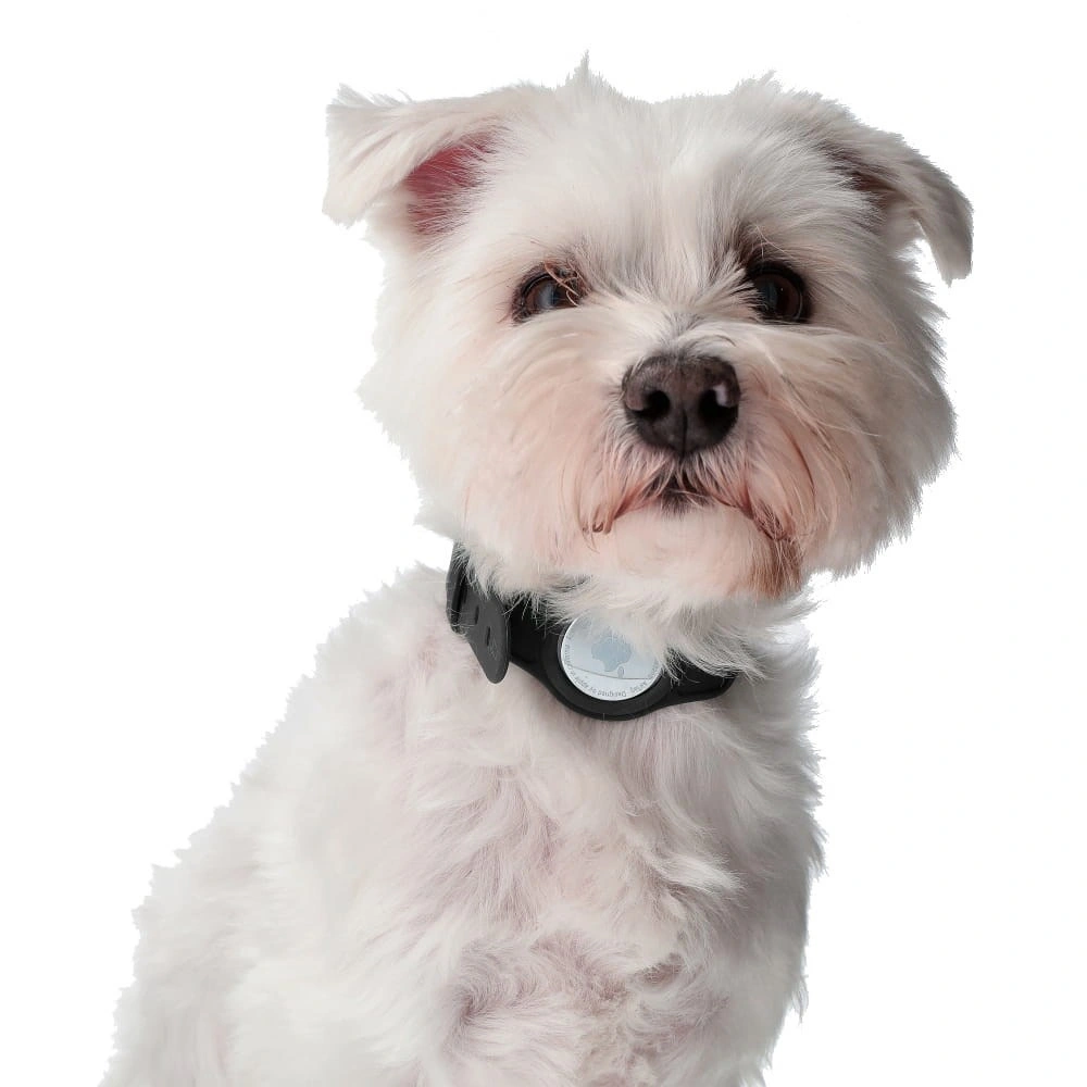 Bizon Case Locator Pets Apple AirTag black