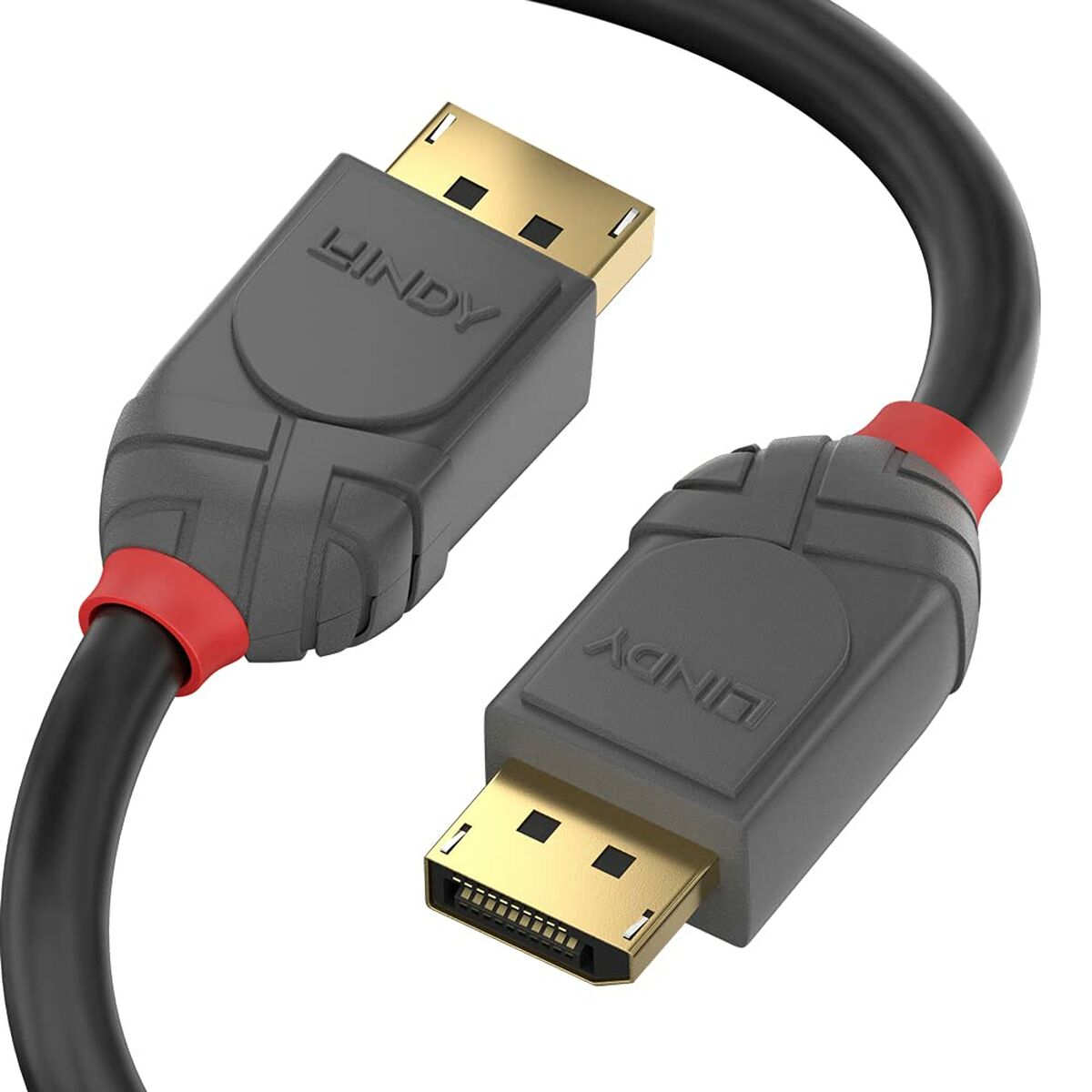 DisplayPort-Kabel LINDY 36480 Schwarz