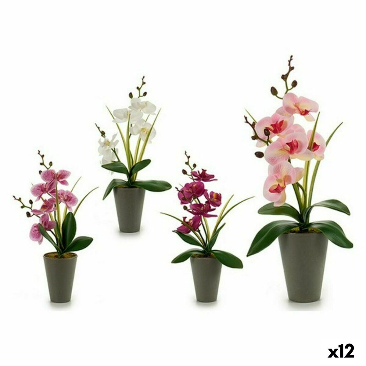 Decorative Plant Orchid 8 x 35 x 14 cm Purple Pink Lilac White Plastic (12 Units)
