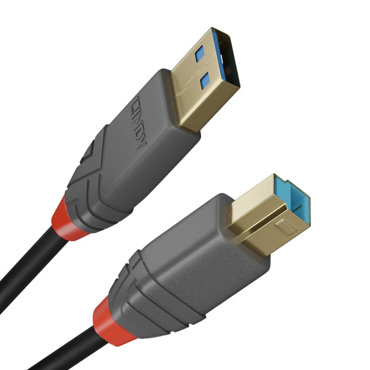USB A to USB B Cable LINDY 36742 2 m Black