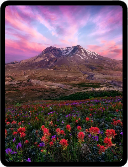 Apple iPad Pro 13" M5 - 2025 (8. Gen)